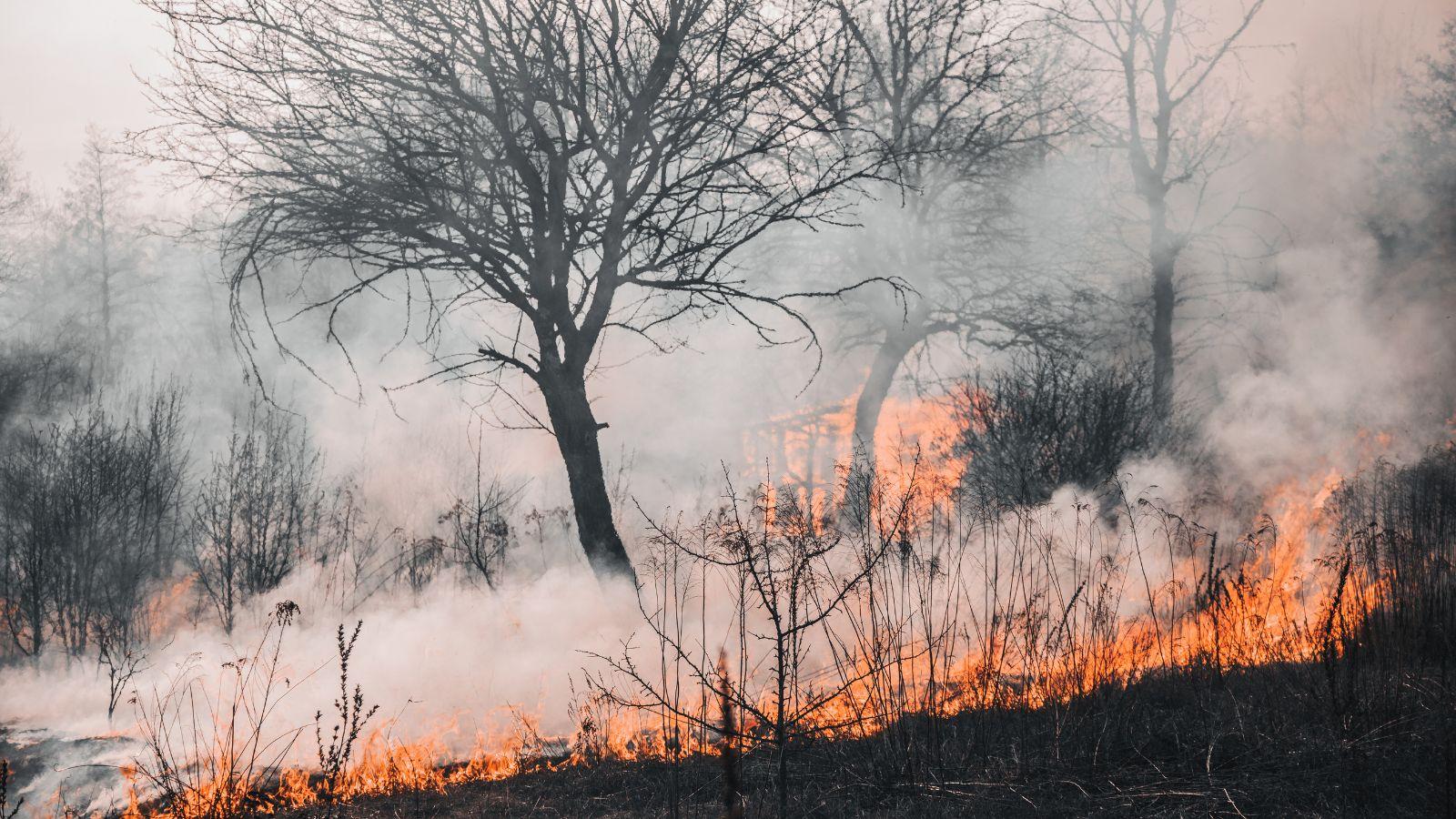 Fire Danger Is High