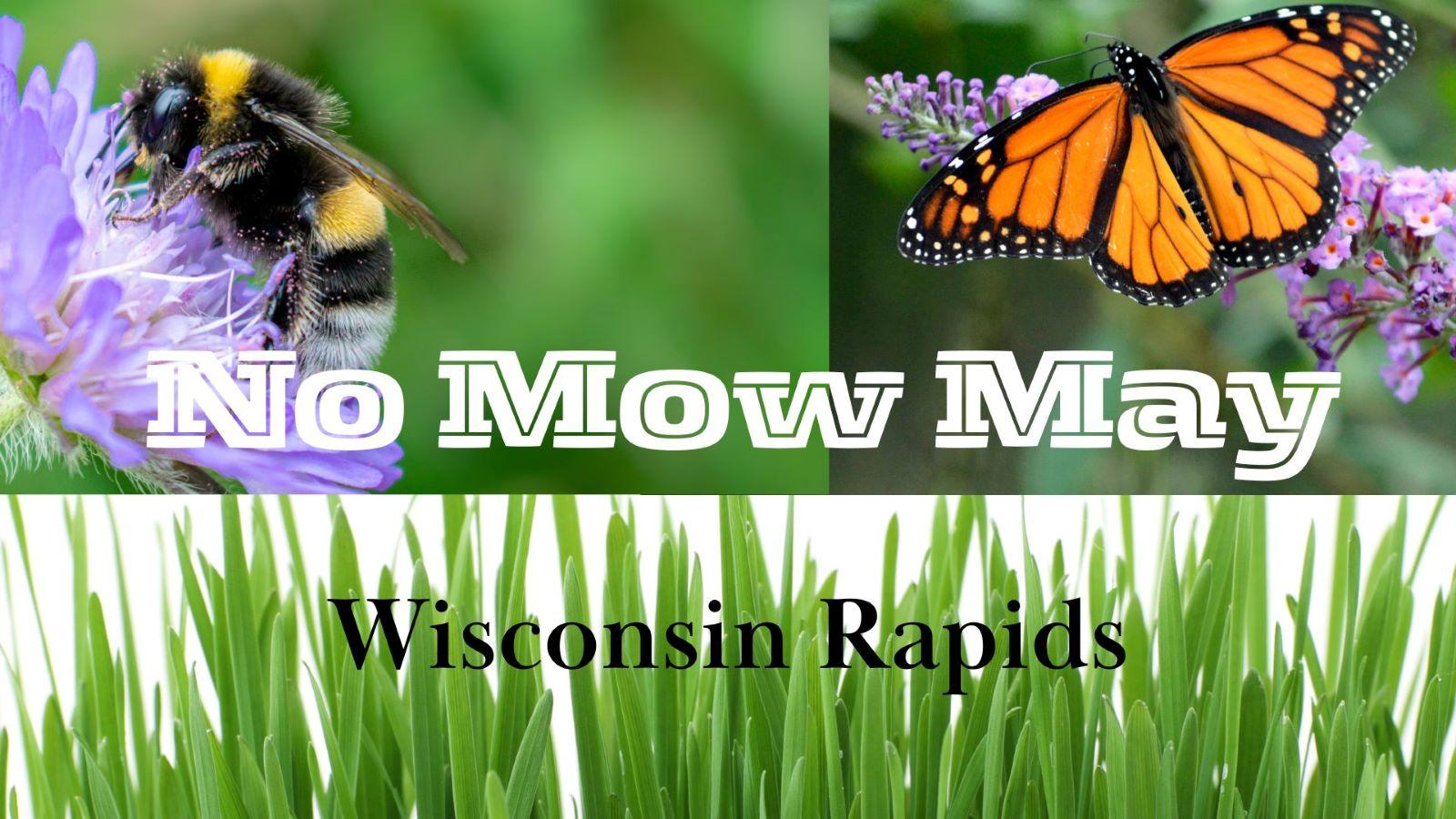 No Mow May in Wisconsin Rapids