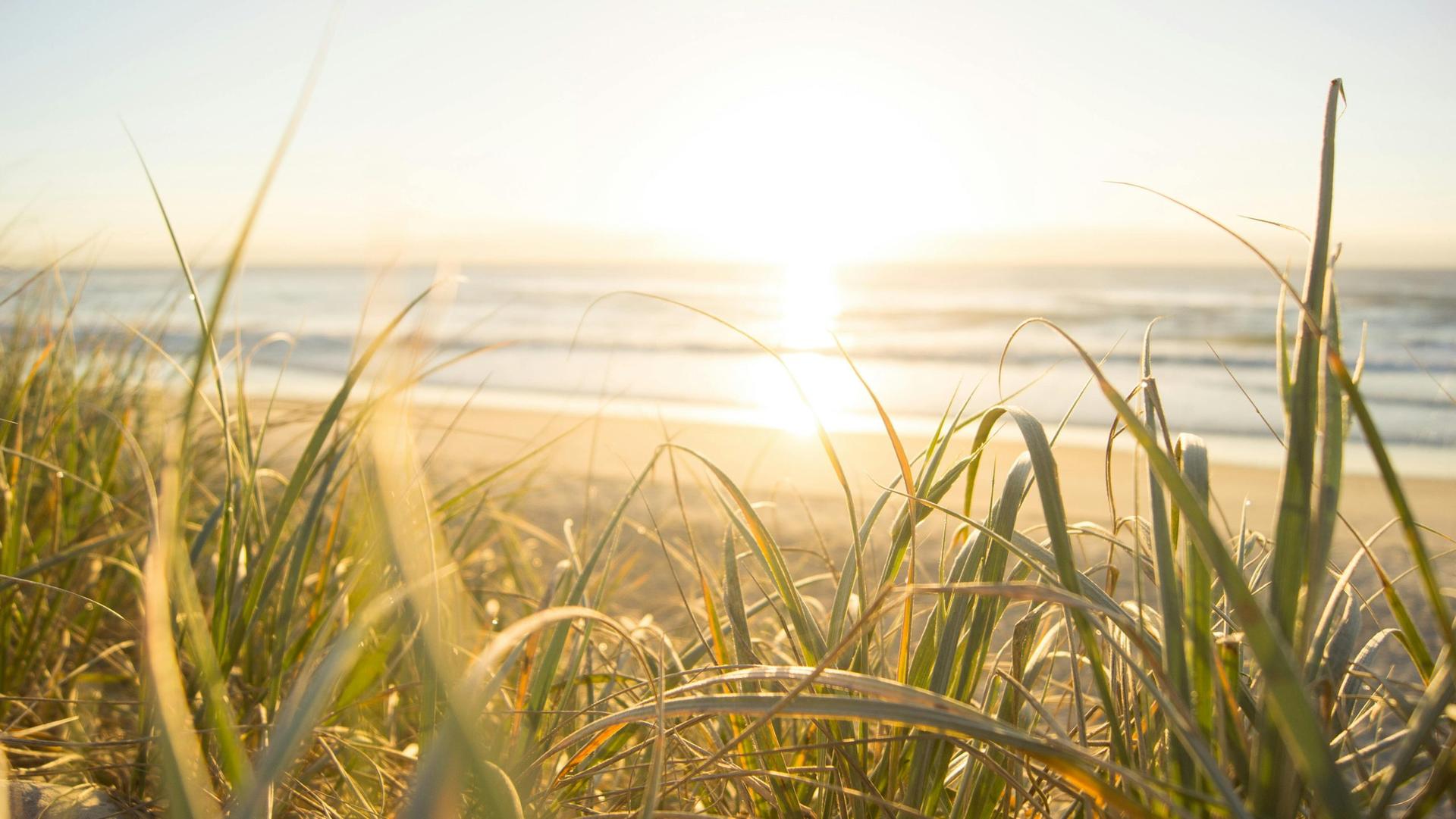 Temps Surge Towards Summer: Heat & Humidity Hit Soon