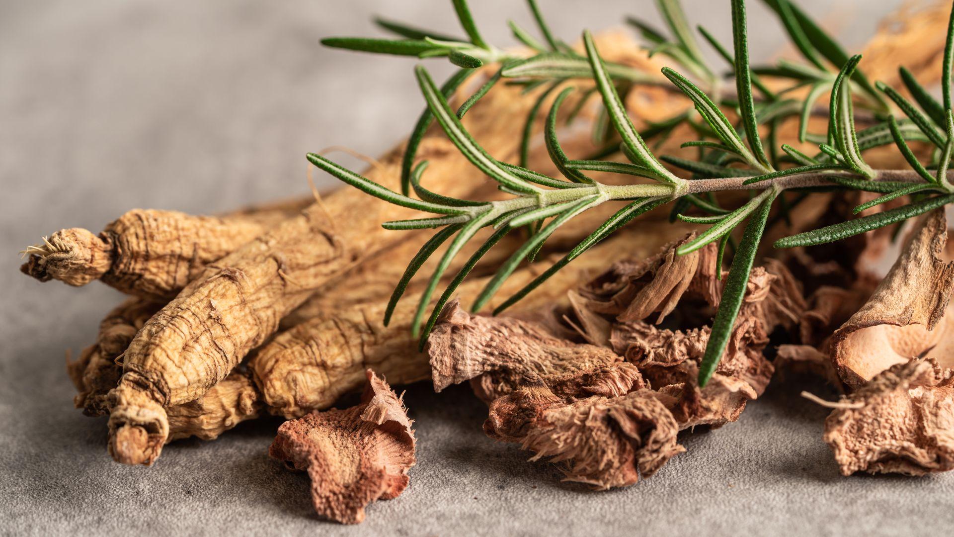 Wisconsin Ginseng Farmers Losing Buyers due to 147% Tariffs
