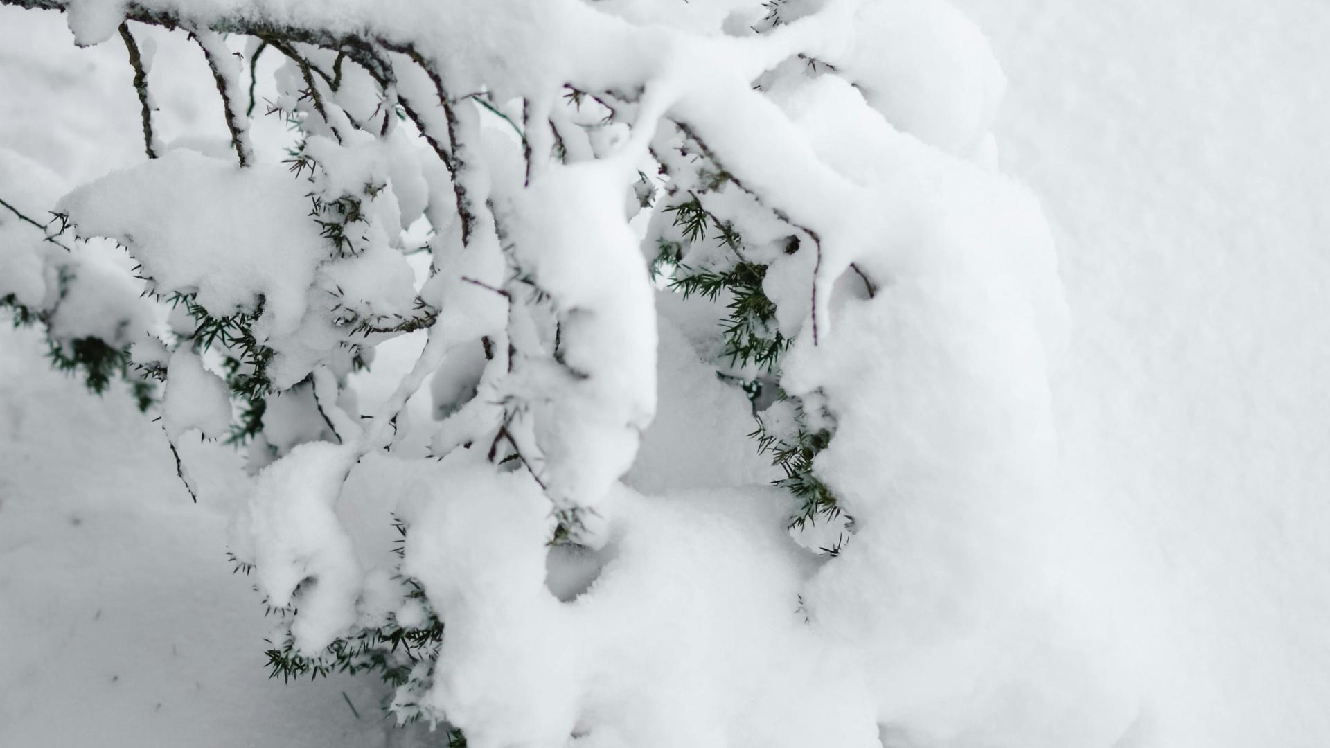 La Nina Watch Issued, Fall and Winter Weather Shifts