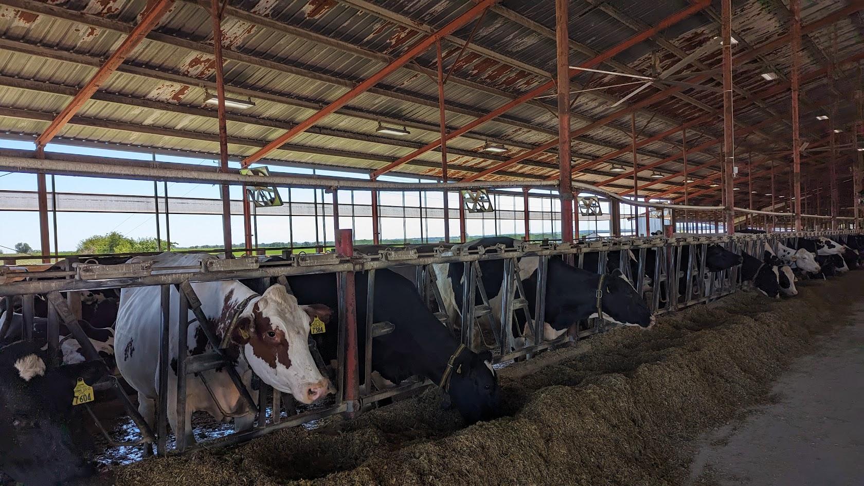 Governor Evers highlights dairy’s economic impact in honor of Dairy Month