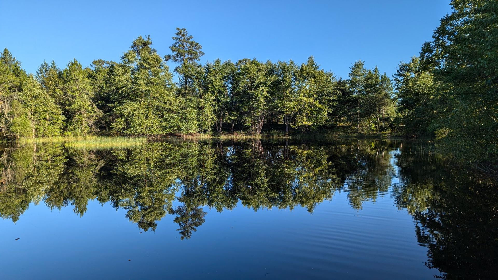 Wisconsin’s conservation model an ‘untapped’ resource