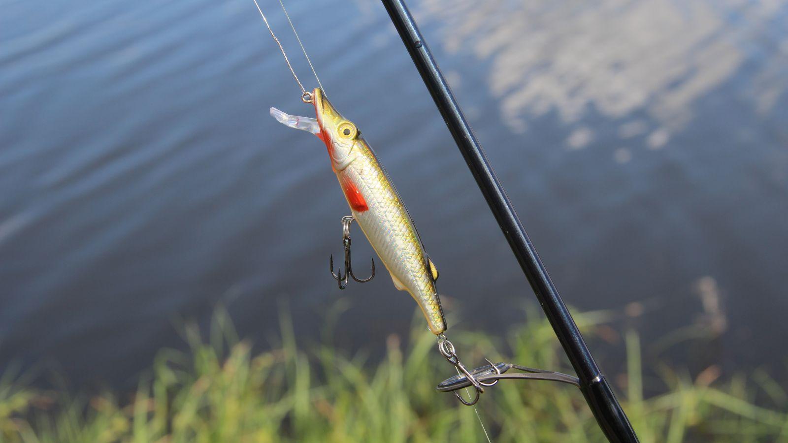 Washburn County Allowing Roadside Bait Shop to Remain Open